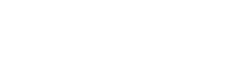 Wolrd Wide Technology